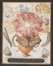 Natureza morta com flores, um caracol e insetos, 1589.
