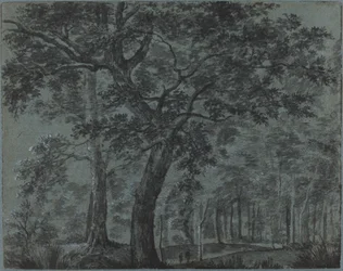 Bosques à noite com viajantes