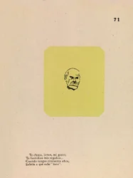 Maturidade