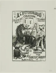O Veterinário