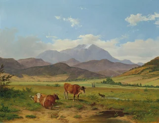 Paisagem com montanha de neve