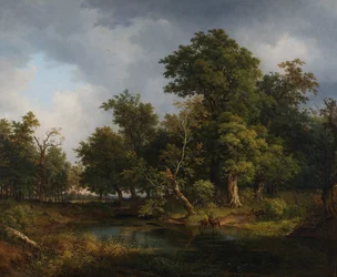 Paisagem florestal