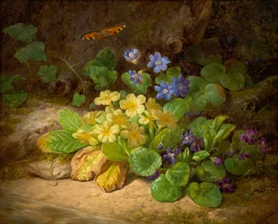Pequeno pedaço de flores (flores alpinas)
