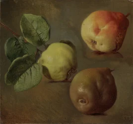 Les coings - Quince - Josef Navratil (1798-1865). Óleo sobre tela