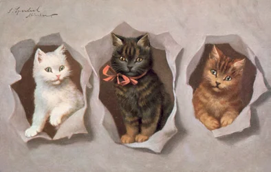 Postal de gato (litografia a cores)