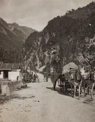 Álbum "Meine weltkriegs - Erinnerungen South-West Front (Caríntia, Itália, Tirol do Sul) (A minha guerra mundial - memórias da Frente Sudoeste na Caríntia, Itália, Trentino-Alto Adige) 31/03/1915-12/11/1918 - Josef Zohles Wien ": carroça militar (foto a p/