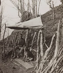 Álbum "Meine weltkriegs - Erinnerungen South-West Front (Caríntia, Itália, Tirol do Sul) (My world war - memories of the South-Western Front in Carinthia, Italy, Trentino-Alto Adige) 31/03/1915-12/11/1918 - Josef Zohles Wien ": cão militar debaixo de uma t