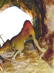 Na caverna