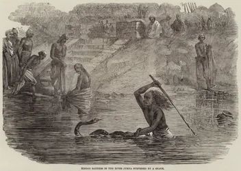 Banhistas hindus no rio Jumna surpreendidos por uma serpente