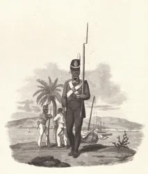 Um soldado do 5º Regimento das Índias Ocidentais, c1812 1909