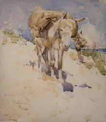 Tânger (wc no papel)