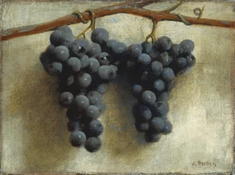 Uvas