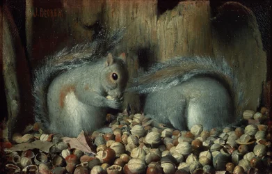 Os glutões (esquilos)