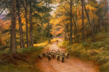 A caminho de casa