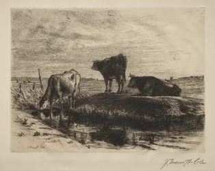 As três vacas