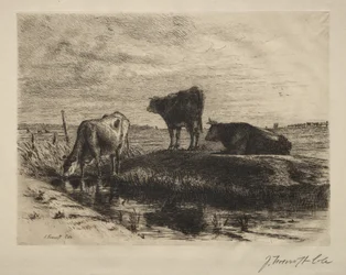 As três vacas.