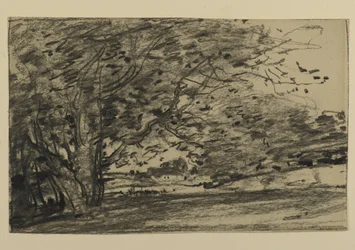Estudo de Árvores, 1870 (grafite sobre papel)
