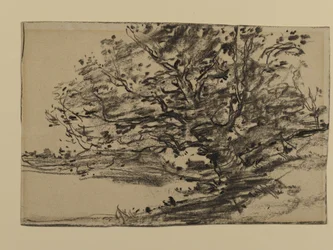 Estudo de Árvores, 1870 (grafite sobre papel)