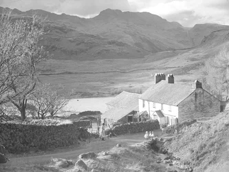 Quinta (em Langdales) com mulher e cães a observar patos e edifícios agrícolas atrás