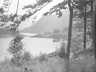 Thirlmere através de ramos de árvores
