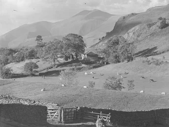 Vista dos campos para a quinta em Thirlmere com ovelhas e vacas