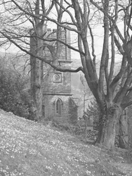 Vista de uma igreja; arquitetura; religiosa; eclesiástica; torre através de árvores