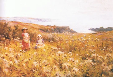 Colheita buttercups, de uma revista ou fonte de livro desconhecida