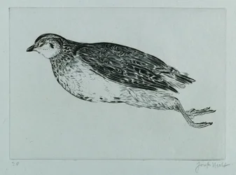 Perdiz morta (La Perdrix) (gravura)