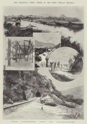 A Crise do Transvaal, Cenas na República da África do Sul