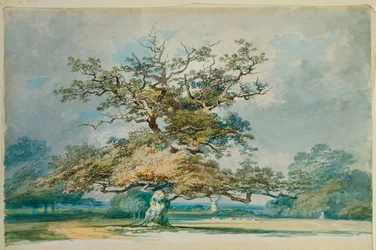 Uma paisagem com um velho carvalho