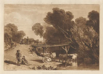 Ponte e vacas