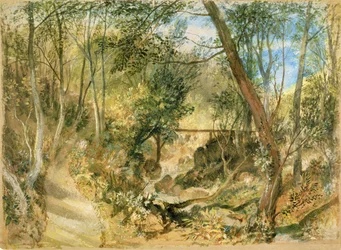PD.50-1958 The Woodwalk, Farnley Hall, c. 1818 (wc e guache)