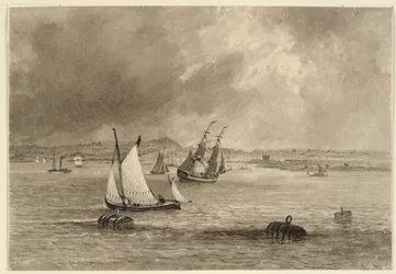 Navios ao largo da costa