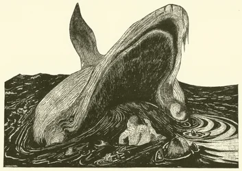 A baleia que engoliu o Mariner (gravação)