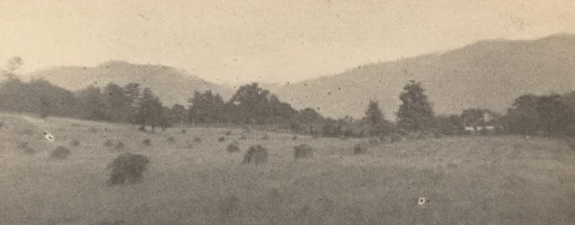 Paisagem com árvores e montanhas