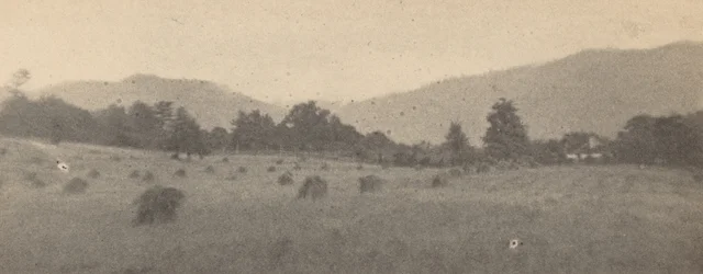 Paisagem com árvores e montanhas,c. 1900 (foto)