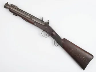 Blunderbuss com baioneta de primavera emitida para Voluntários Irlandeses, c.c.1815 (blunderbuss, flintlock)