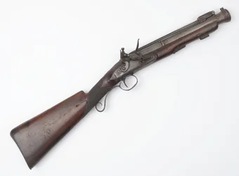 Blunderbuss com baioneta de primavera emitida para Voluntários Irlandeses, c.c.1815 (blunderbuss, flintlock)