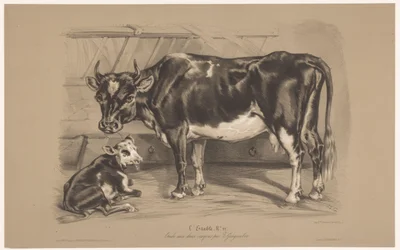 Vaca com bezerro num estábulo
L