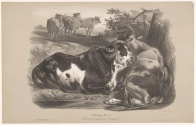 Cinco vacas num prado
L
