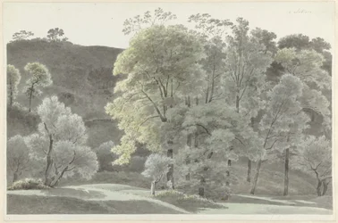 Árvores perto de Subiaco