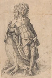 Apolo