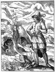 Mineiro, século XVI, 1849.