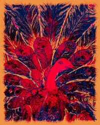 O pavão dourado de Bahaullah, 2016