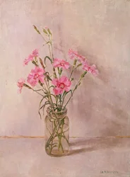 Pinks em uma jarra de vidro