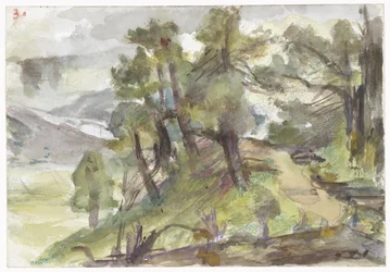 paisagem montanhosa arborizada