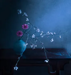 Elegância Floral Escura