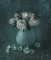 Rosas em tons pastel de sonho