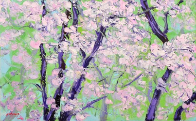 Cerejeiras em flor