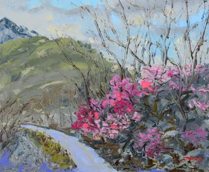 Trilha da Montanha em Flor